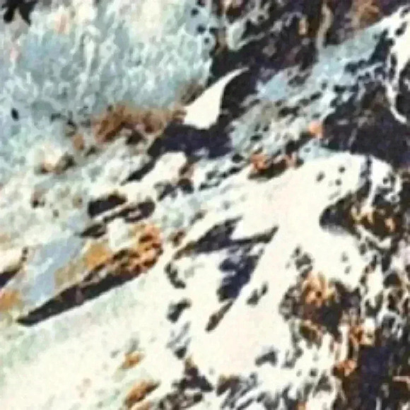 ✅Vera Wang Button  Down Top - Picture 6 of 14